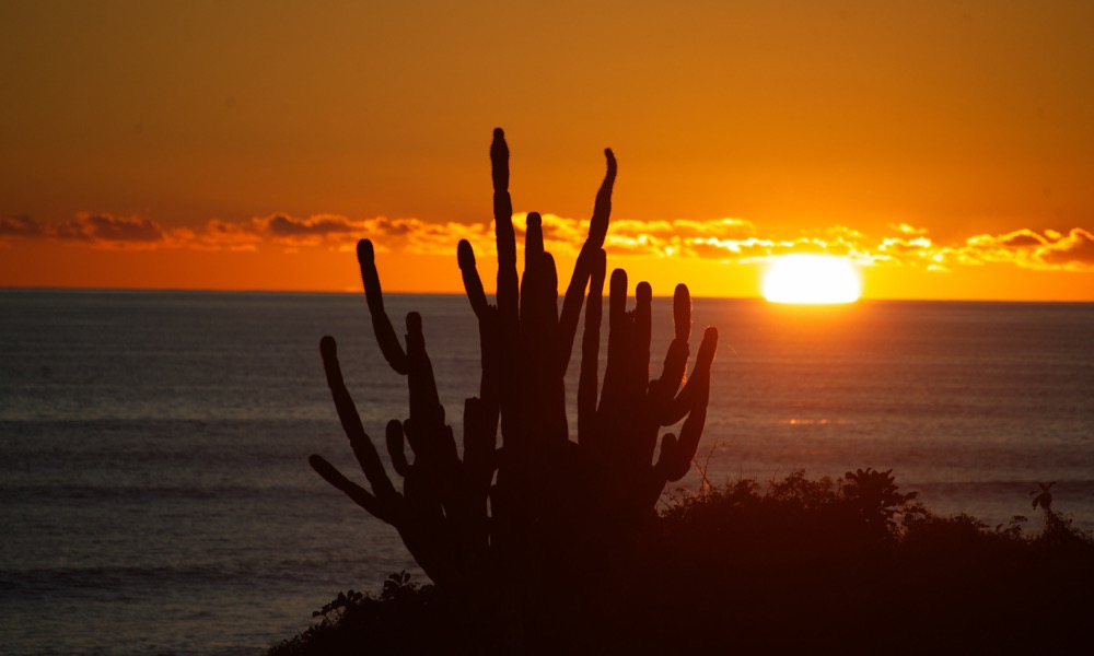 Sonnenuntergang am Pazifik